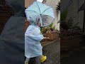 Rainy days #4yearsold