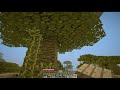 Minecraft: Survival 