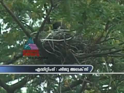 See video