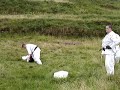 Andy Blackbelt Test