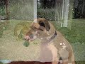 bogie.html