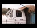Ecological Disaster! Ethical Man Gets Covered In Pig Food Grand Finale!