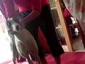 Smiler The Dog... Dancing!!!