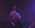 teledysk, klip, Presidents Of The Usa,- Lunatic To Love
