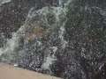 en mojarritas nayarit en mojarritas nayarit