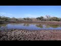 CICLISMO DE MONTA�A EN TANGAMANDAPIO