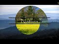 ATZARA-Cortes-Aperta