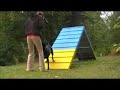 Rosco Agility Practice
