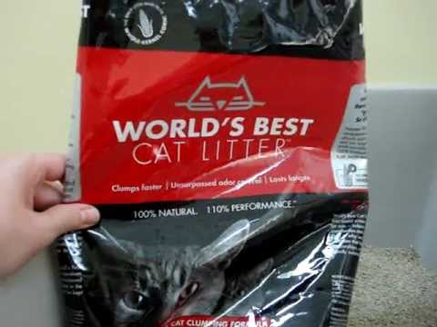 Best Clumping Cat Litter
