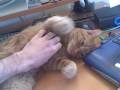 Frodo Makes Air Biscuits