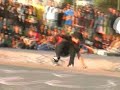 etnies demo halifax