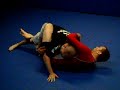 Jokers Wild Fighting 5