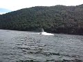 raystown resort