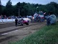 perdy in the pink