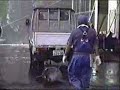 Dolphins being harvested.