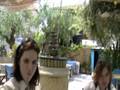 Secret Garden Taverna ,Kardamyli, southern peloponese Greece