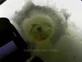 Ice Fishing Underwater Whitefish Action Marcum 825c