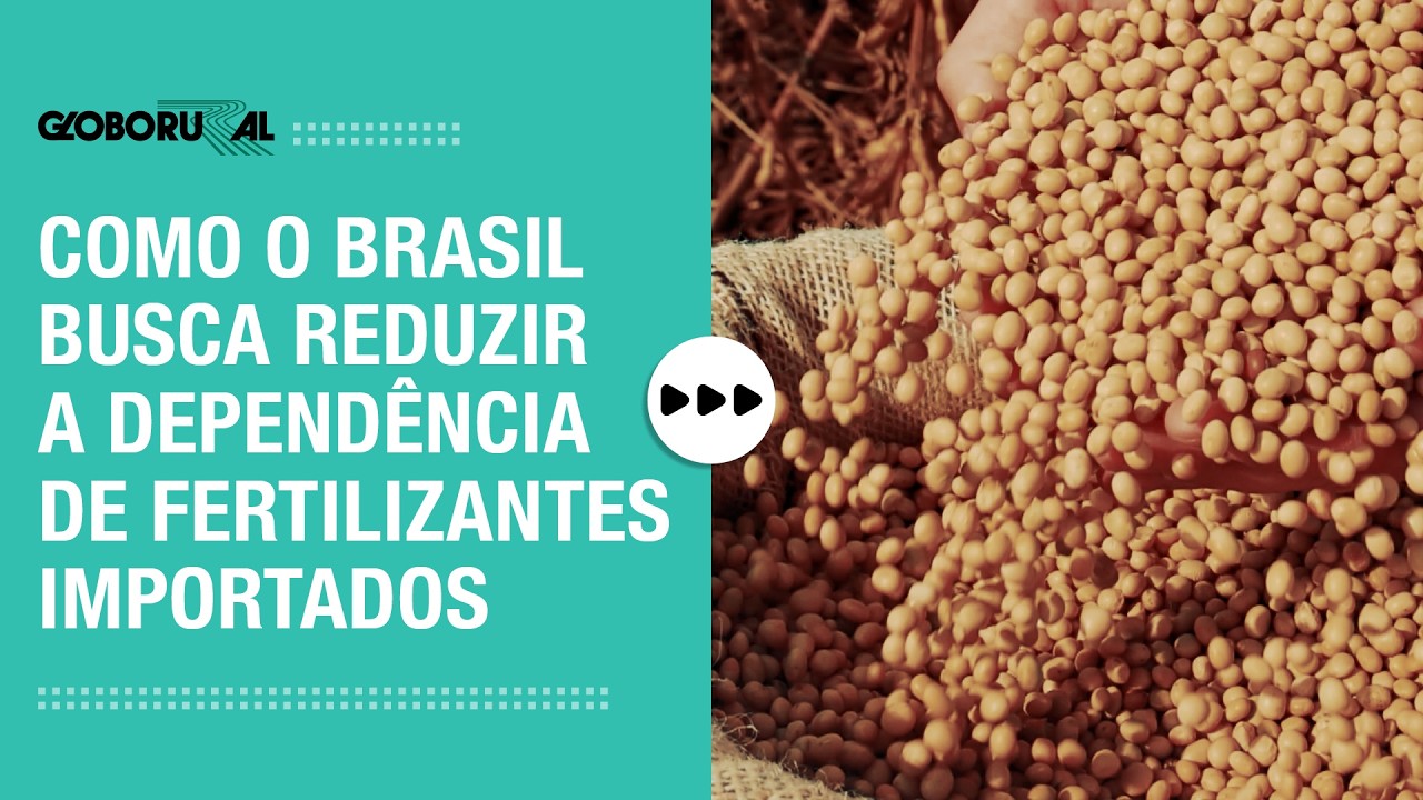 Como o Brasil quer reduzir a dependência de fertilizantes importados | Globo Rural
