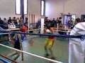 videos de steph combat de boxe