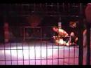 WAMMA fights 1