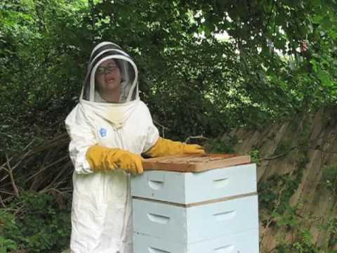 how to harvest honey