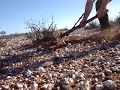 digging a 1oz gold nugget