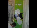 pingu mace globo saian supa crew