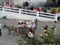 videos de Zempoala Desfile 20 de Nov.
