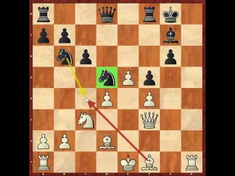 chess chess