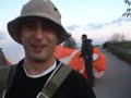 Serbian jackass