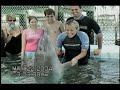 Dolphin Encounters - Nassau Bahamas Dolphin Encounters - Nassau Bahamas