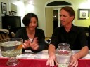 Wells and Fargo Foreclosed Fish Adopted