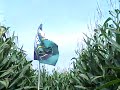 Cherry Crest Corn Maze