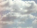 The Patriot Acrobat Flight