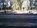 train to punjab