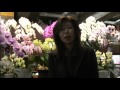花水木の石川オーナー癌克服体験談 花水木の石川オーナー癌克服体験談