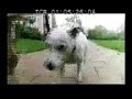 short6 music for one apertment & six drummers short6 music for one apertment & six drummers