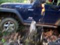 jeeping on a tree