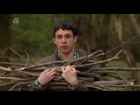 The Inbetweeners are back 4 more