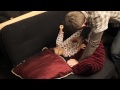 Click here to watch this video Louis Grant: The Series, Episode 1.4 - A Sure Thing