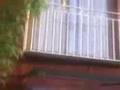 videos de El pajaro mas tonto del mundo