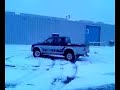 L200 animal