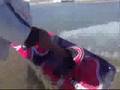 Newind SplitWake Kiteboard