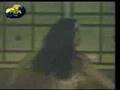 Lebanese Belly Dance 24