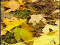 Georges-Moustaki-Il-