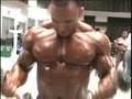 2008 IFBB Tampa Bay Pro Bodybuilding clip 02