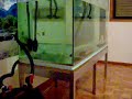FLUVAL FX5 1 FLUVAL FX5 1