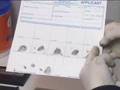 The tribulations of a smart worker with a disability