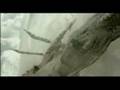 Trailer - Shadow of the Colossus