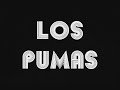 PUMAS